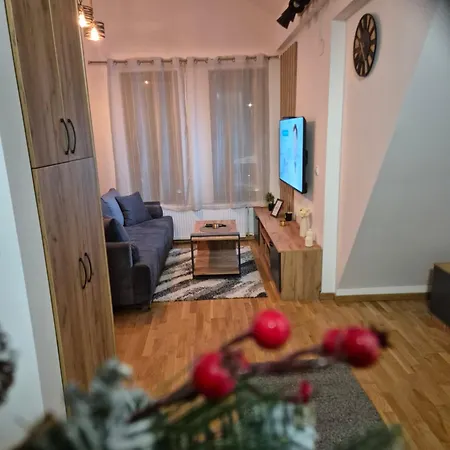 Apartment Jagodic Lux *